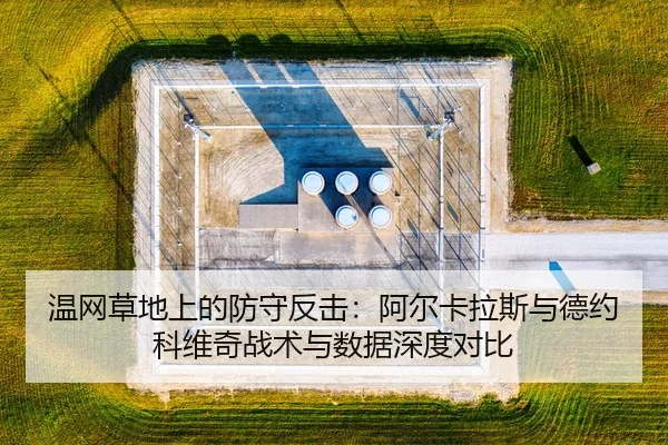wen-wang-cao-di-shang-de-fang-shou-fan-ji-a-er-ka-la-si-yu-de-yue-ke-wei-qi-zhan-shu-yu-shu-ju-shen-du-dui-bi-3-820.jpg